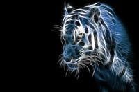 pic for Digital Tiger 